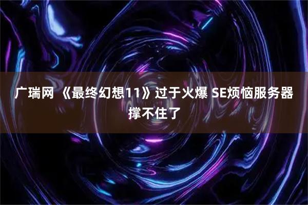 广瑞网 《最终幻想11》过于火爆 SE烦恼服务器撑不住了