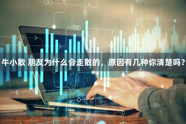 牛小散 朋友为什么会走散的，原因有几种你清楚吗？