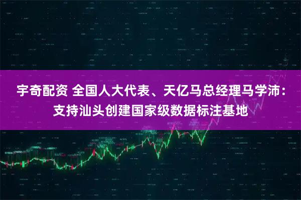 宇奇配资 全国人大代表、天亿马总经理马学沛：支持汕头创建国家级数据标注基地
