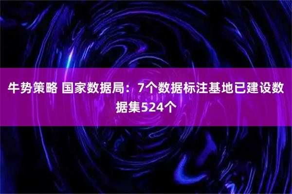 牛势策略 国家数据局：7个数据标注基地已建设数据集524个
