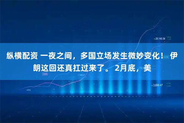 纵横配资 一夜之间，多国立场发生微妙变化！ 伊朗这回还真扛过来了。 2月底，美